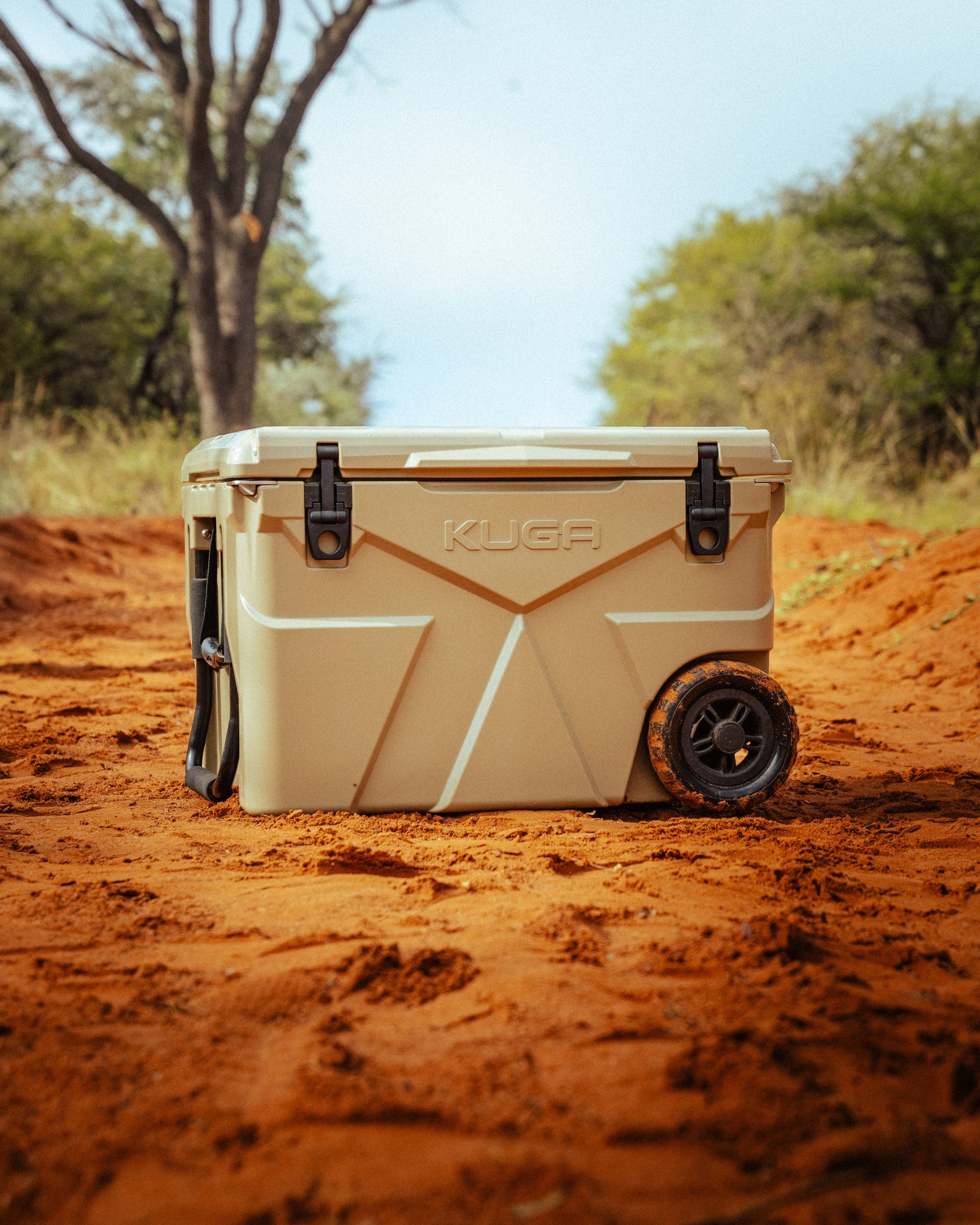 Coolers