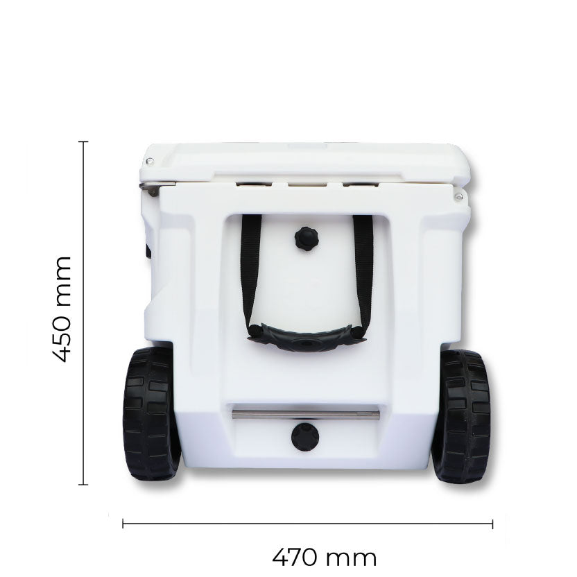 White Lion Africa Edition 50L Cooler Box