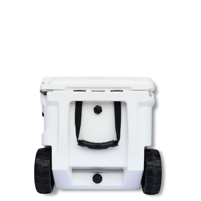 White Lion Africa Edition 50L Cooler Box