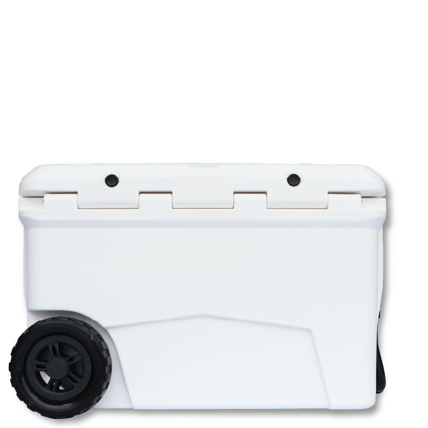 White Lion Africa Edition 50L Cooler Box
