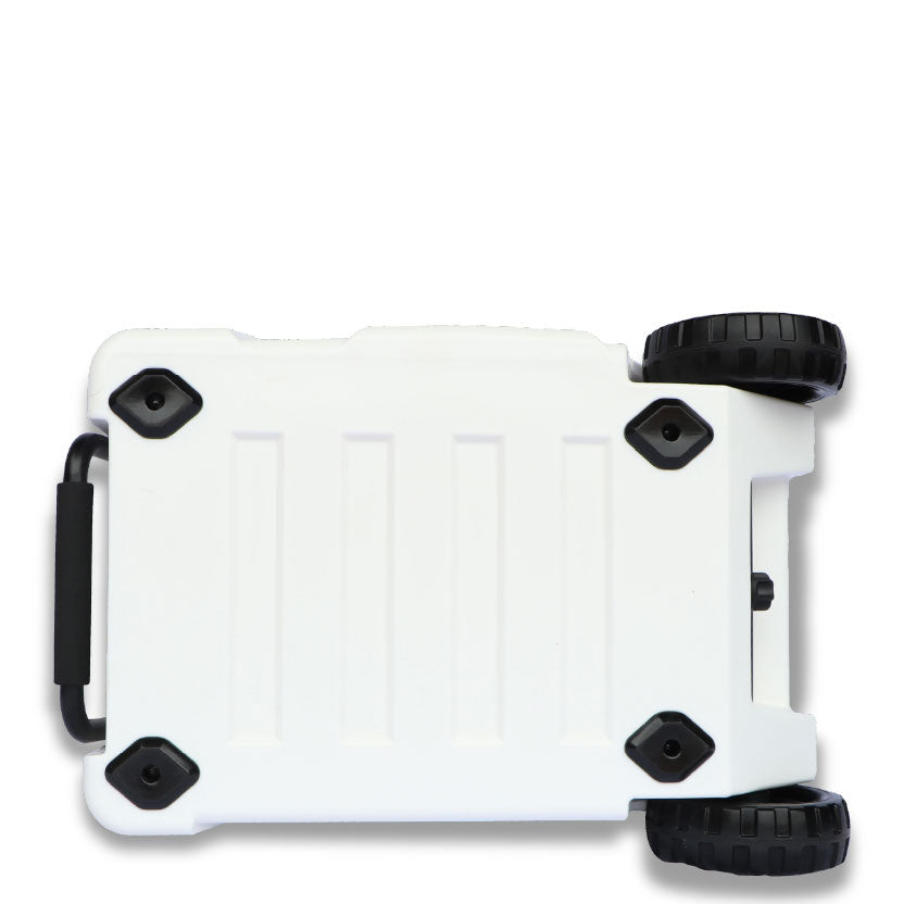 White Lion Africa Edition 50L Cooler Box